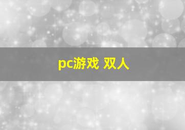 pc游戏 双人